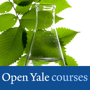 Freshman Organic Chemistry 2